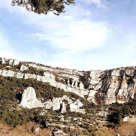 Vue Panoramique Sur Le Chateau,Montagne Et Grottes Fontaine-de-Vaucluse Exterior photo