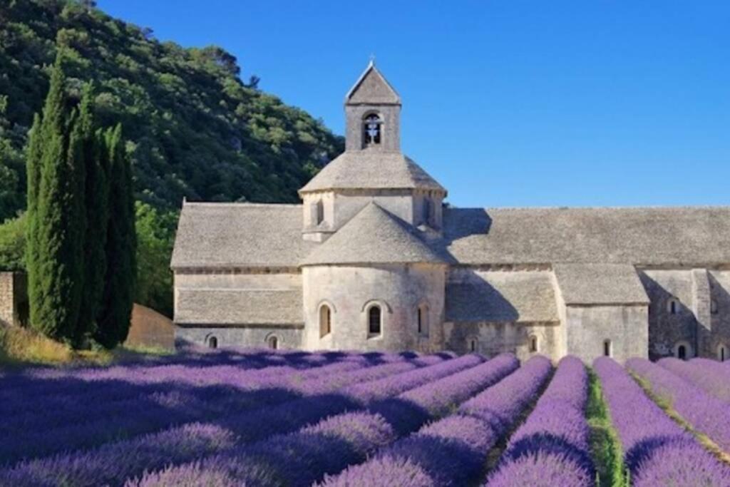 Vue Panoramique Sur Le Chateau,Montagne Et Grottes Fontaine-de-Vaucluse Exterior photo