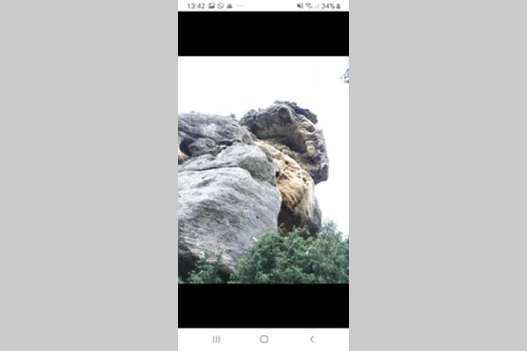 Vue Panoramique Sur Le Chateau,Montagne Et Grottes Fontaine-de-Vaucluse Exterior photo