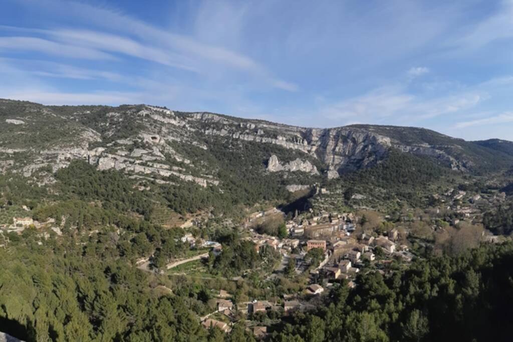 Vue Panoramique Sur Le Chateau,Montagne Et Grottes Fontaine-de-Vaucluse Exterior photo